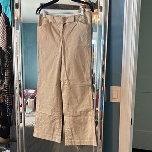 Express Beige Editor Pants